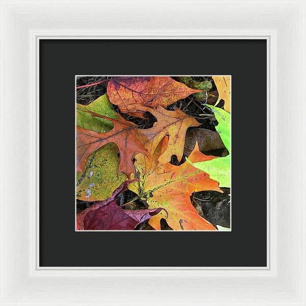 Early October Leaves 2 - Framed Print