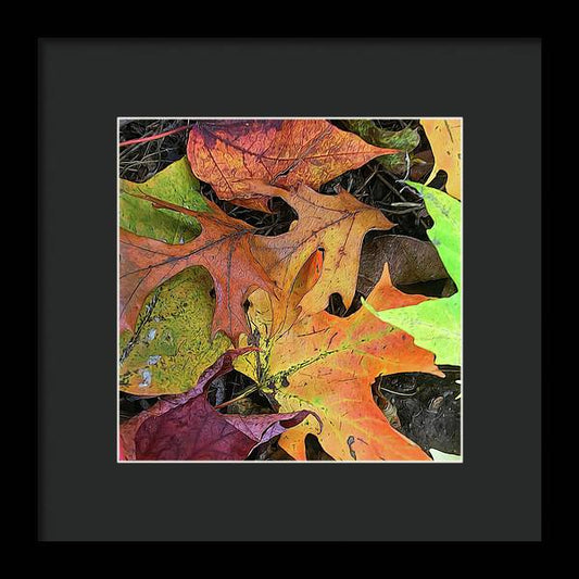 Early October Leaves 2 - Framed Print