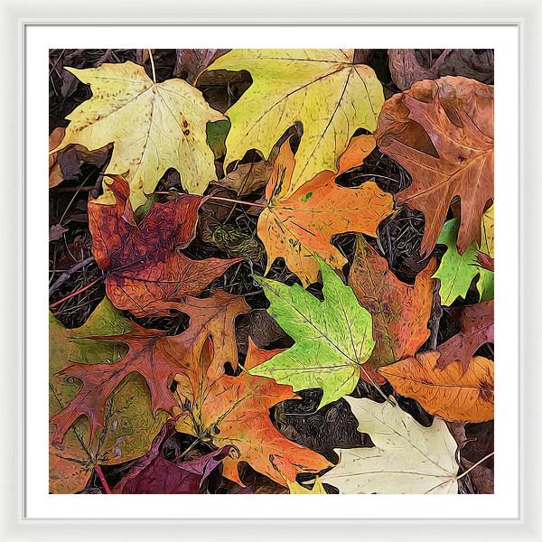 Early October Leaves 3 - Framed Print