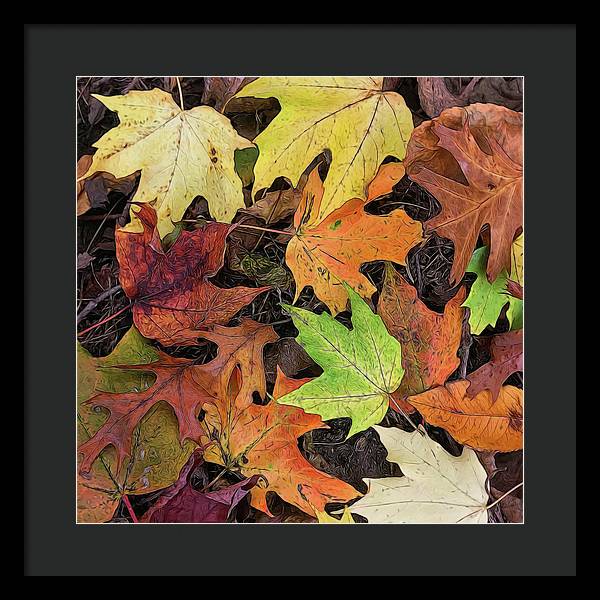 Early October Leaves 3 - Framed Print