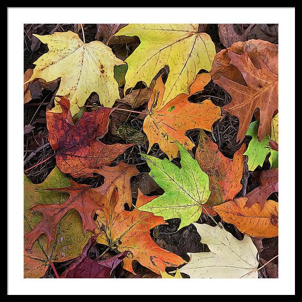 Early October Leaves 3 - Framed Print
