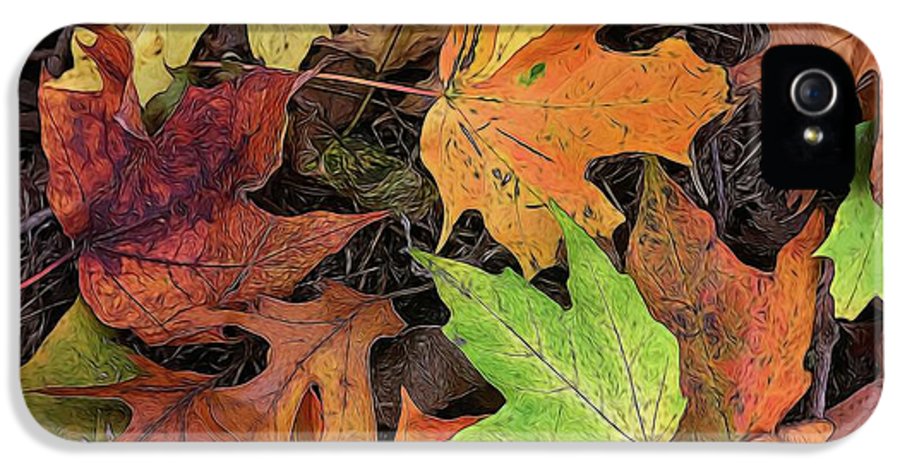 Early October Leaves 3 - Phone Case