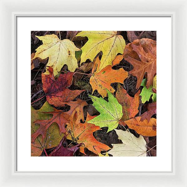 Early October Leaves 3 - Framed Print