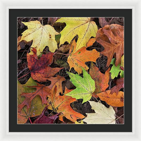 Early October Leaves 3 - Framed Print