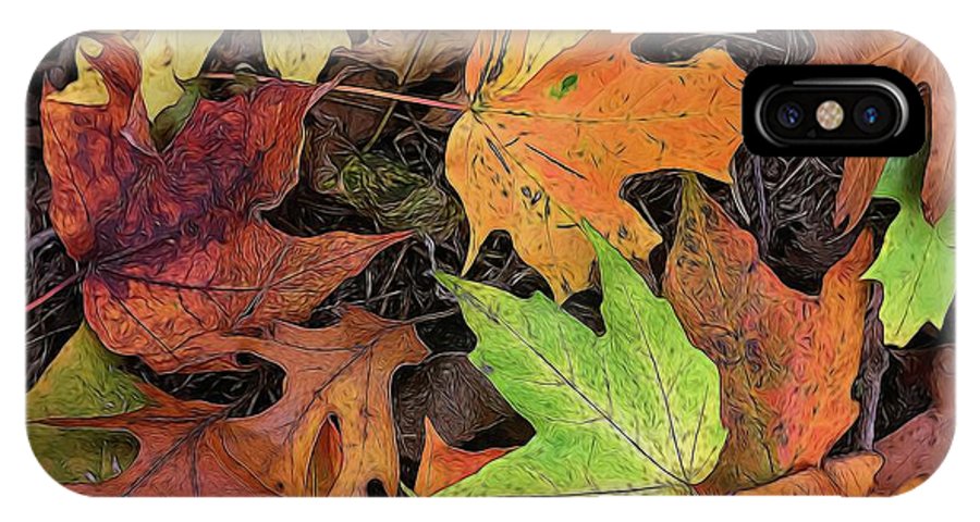 Early October Leaves 3 - Phone Case