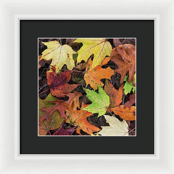 Early October Leaves 3 - Framed Print