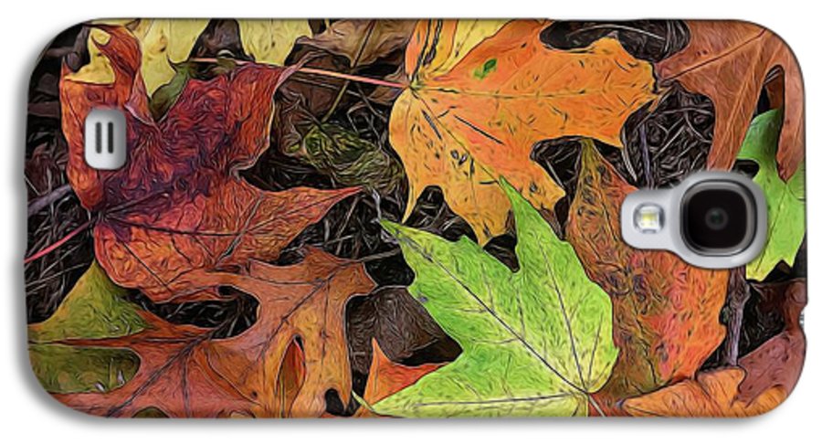 Early October Leaves 3 - Phone Case