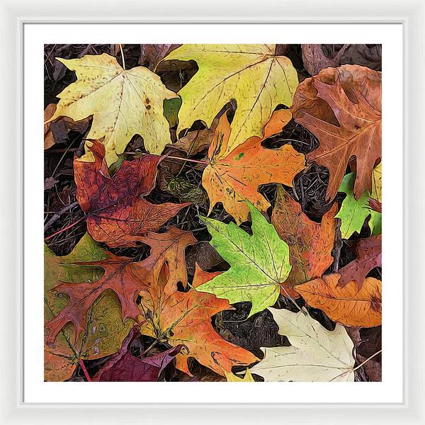 Early October Leaves 3 - Framed Print