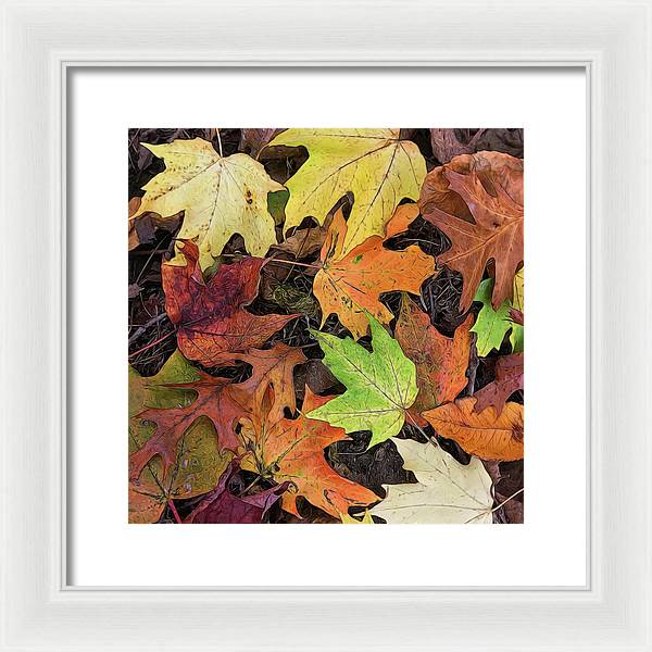 Early October Leaves 3 - Framed Print
