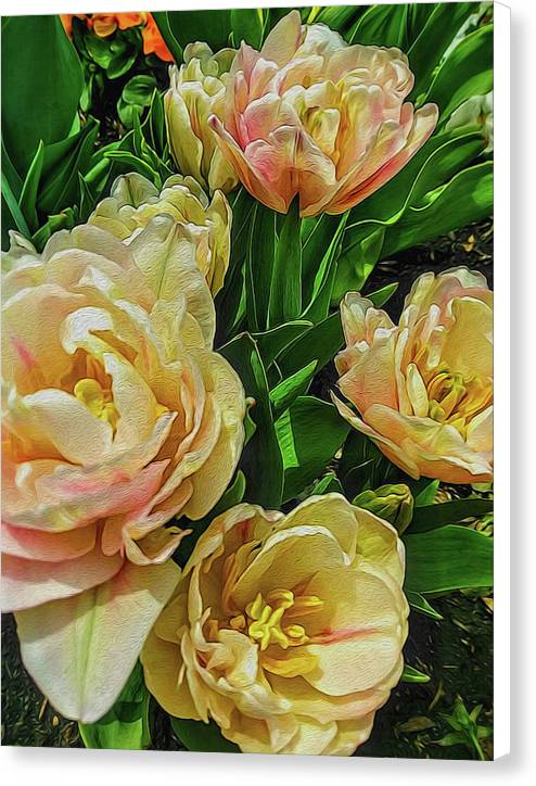 Early Summer Flowers - Canvas Print