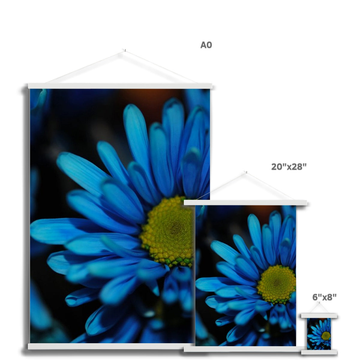 Blue Daisy Fine Art Print with Hanger