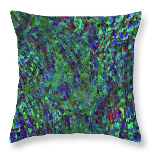Essence Of A Peacock - Throw Pillow
