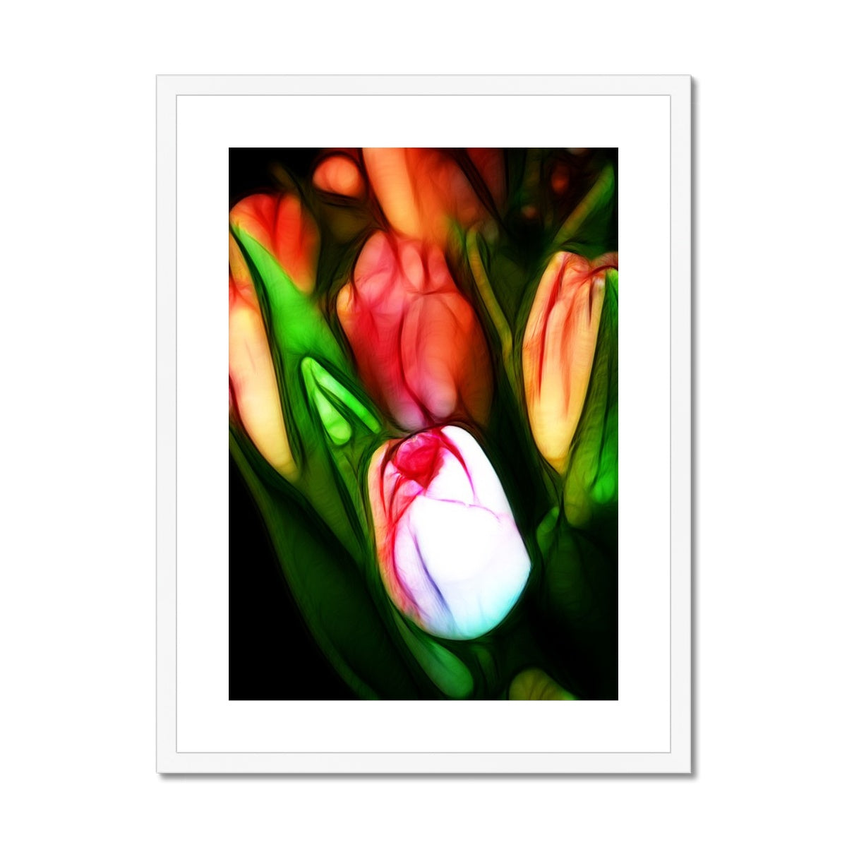 Pink Tulips Framed & Mounted Print