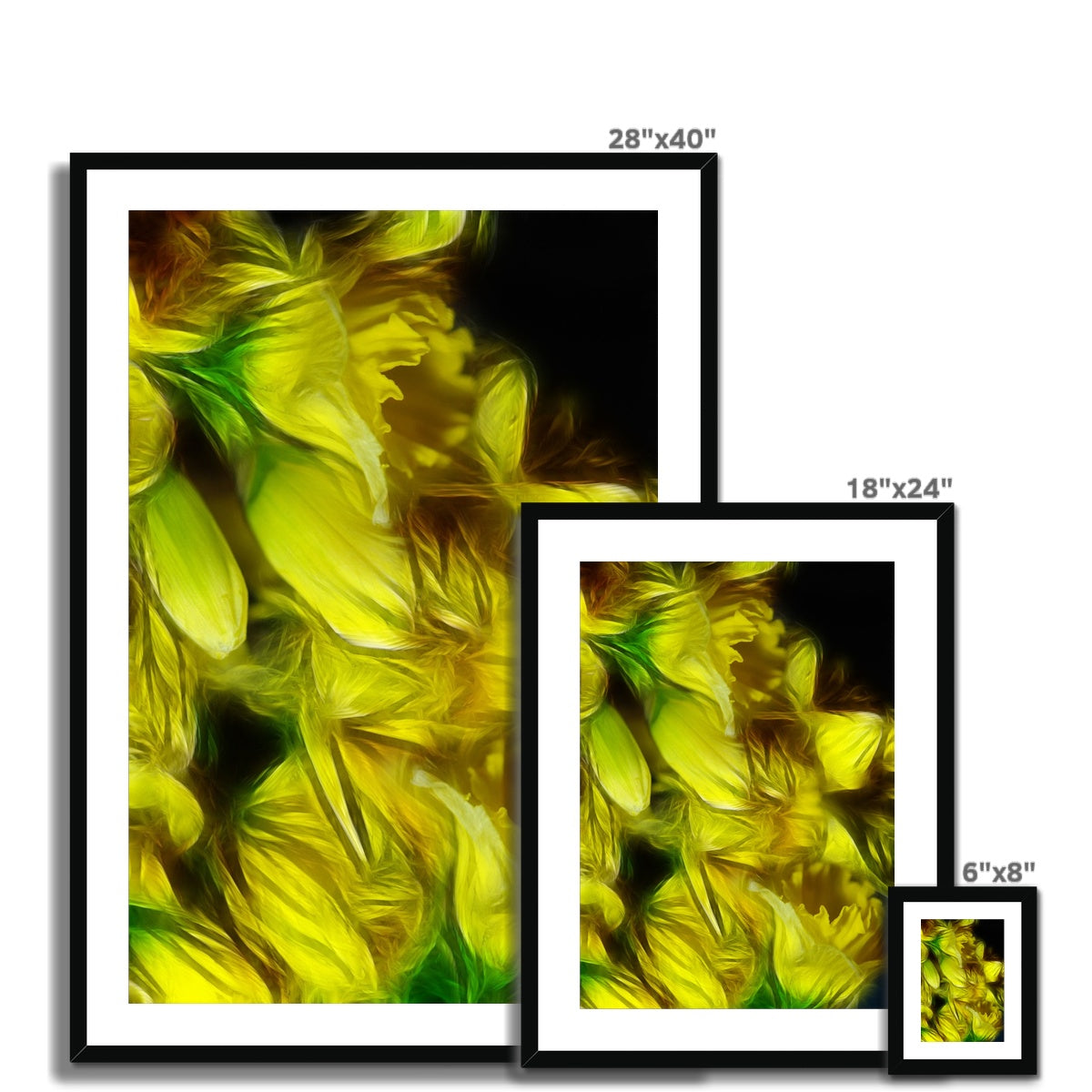 Abstract Yellow Daffodils Framed & Mounted Print