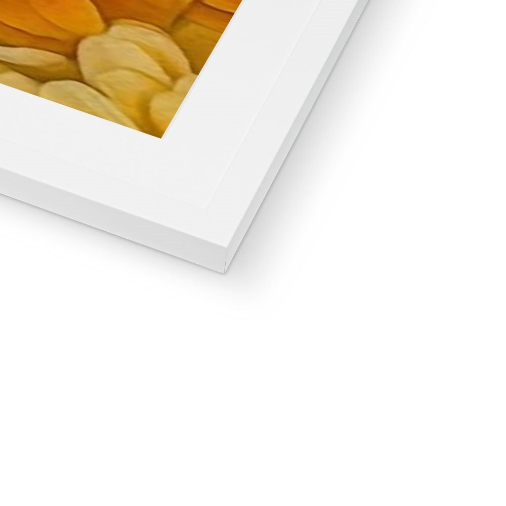 Yellow Zinnias Framed & Mounted Print