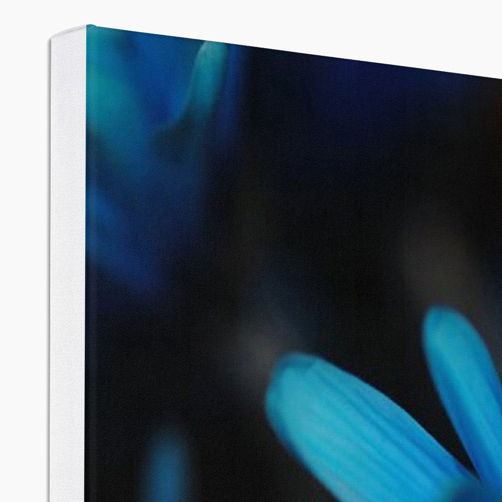 Blue Daisy Canvas