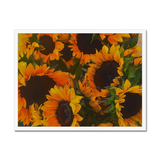 Sunflowers Framed Print