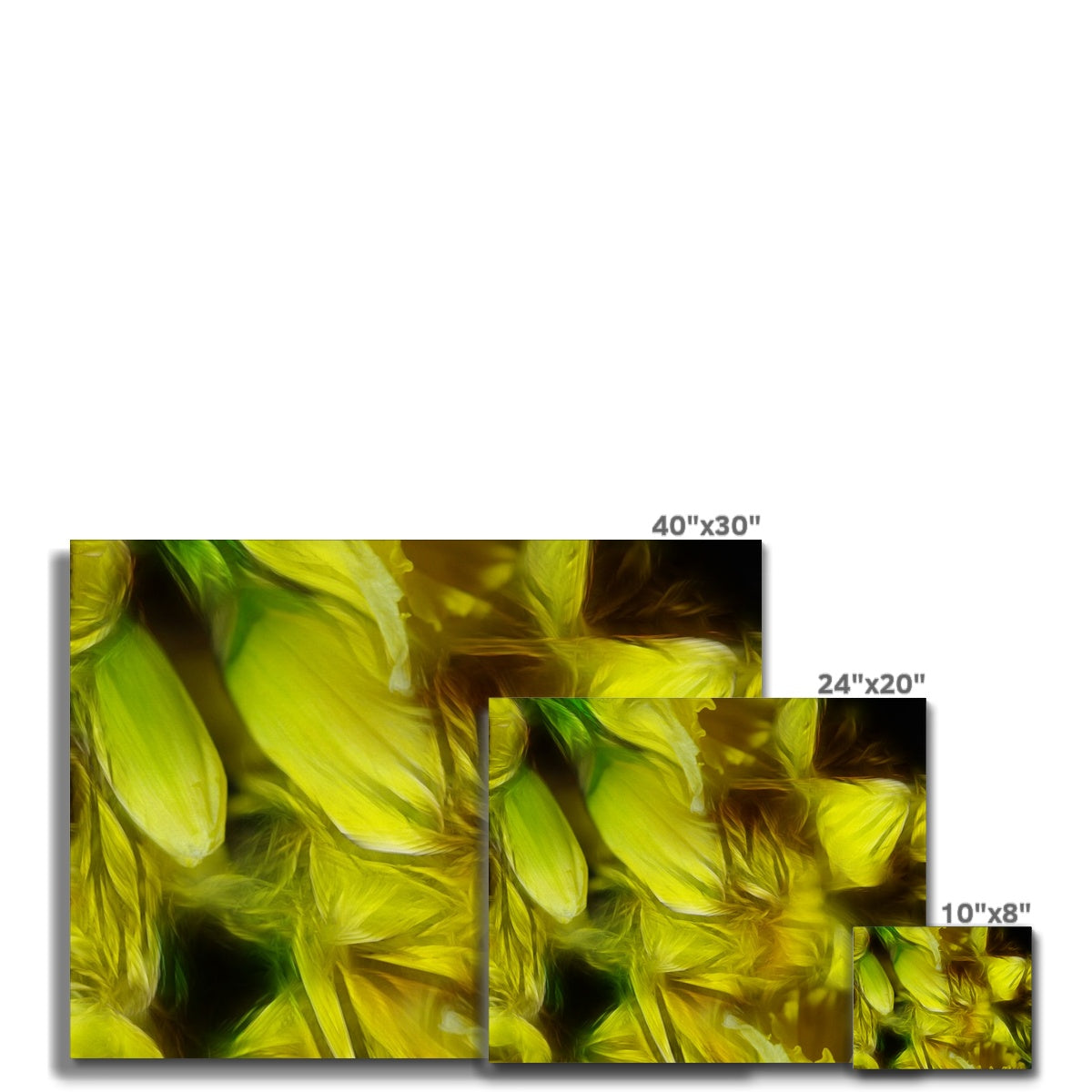 Abstract Yellow Daffodils Canvas