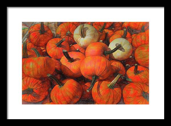 Fall Pumpkin Pile - Framed Print
