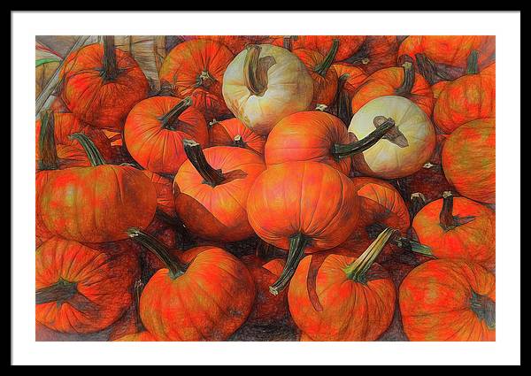 Fall Pumpkin Pile - Framed Print