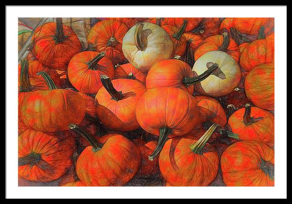 Fall Pumpkin Pile - Framed Print