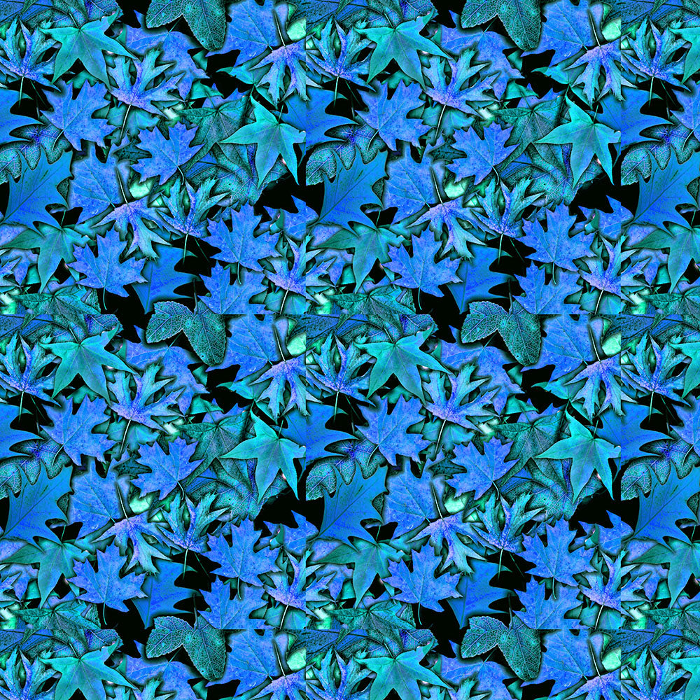 Fall leaves Blue Digital Image Download