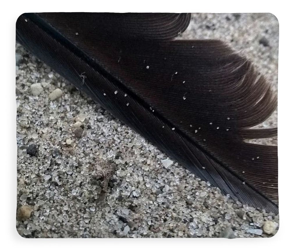 Feather On The Beach - Blanket