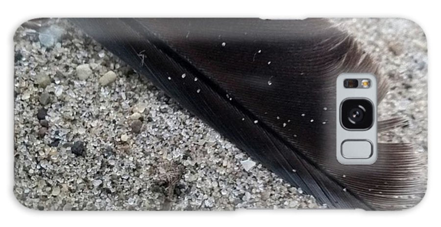 Feather On The Beach - Phone Case