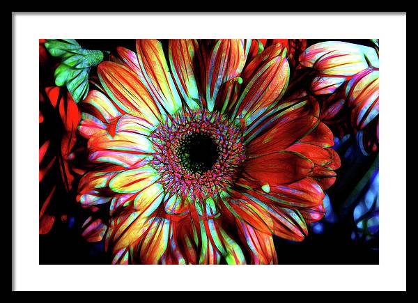 Flowers 133 - Framed Print