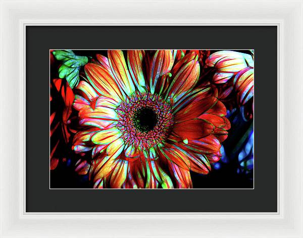 Flowers 133 - Framed Print