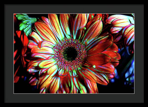 Flowers 133 - Framed Print