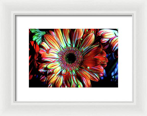 Flowers 133 - Framed Print