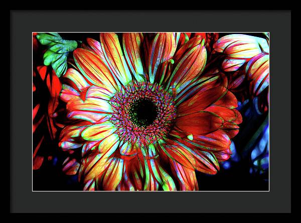 Flowers 133 - Framed Print