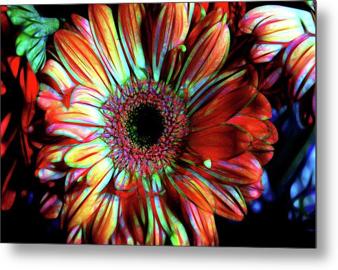 Flowers 133 - Metal Print