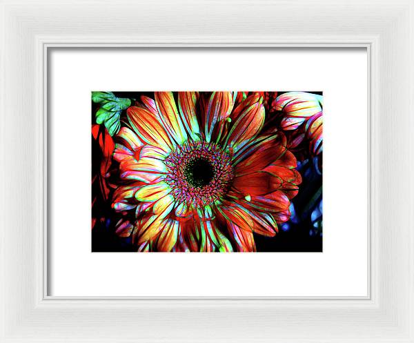 Flowers 133 - Framed Print