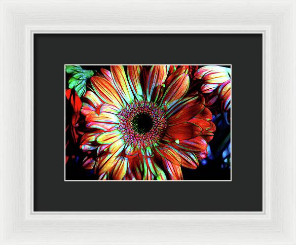 Flowers 133 - Framed Print
