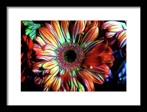 Flowers 133 - Framed Print