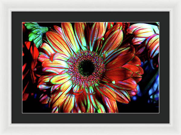 Flowers 133 - Framed Print