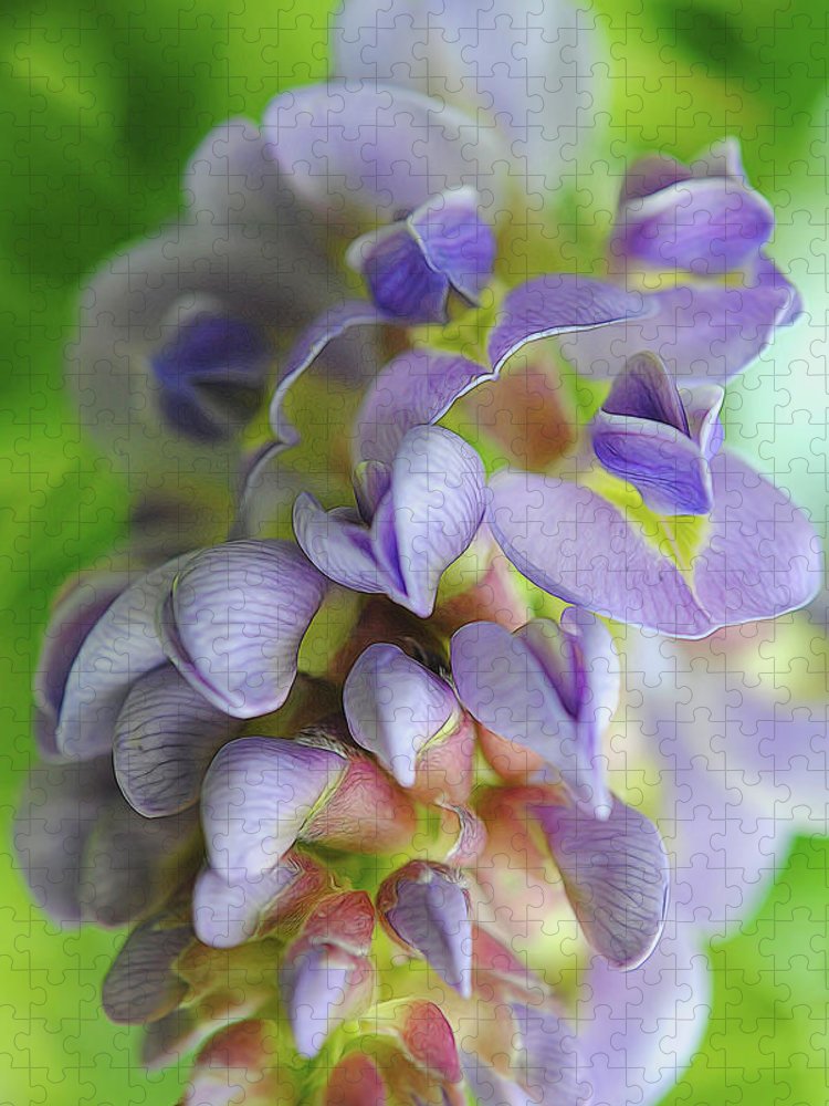 Flowers 2024 - Puzzle