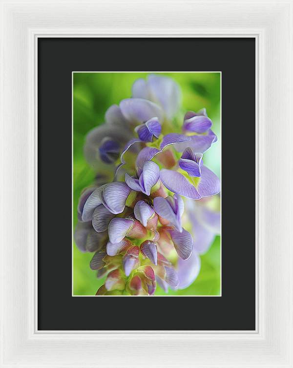 Flowers 2024 - Framed Print