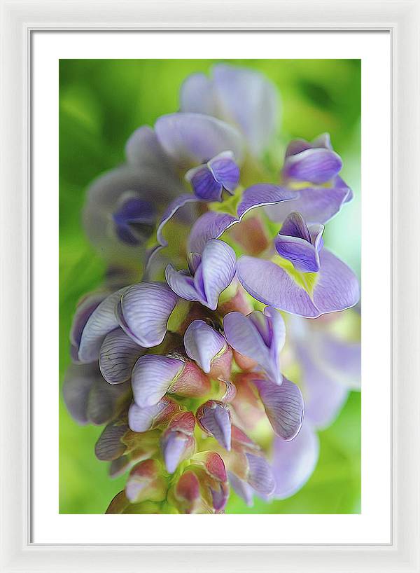 Flowers 2024 - Framed Print