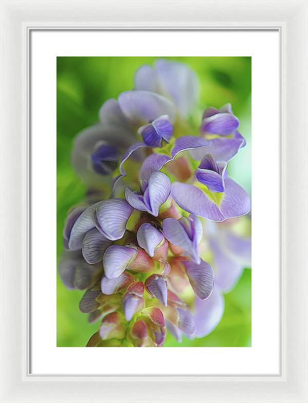 Flowers 2024 - Framed Print