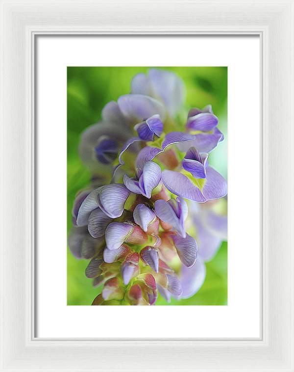 Flowers 2024 - Framed Print