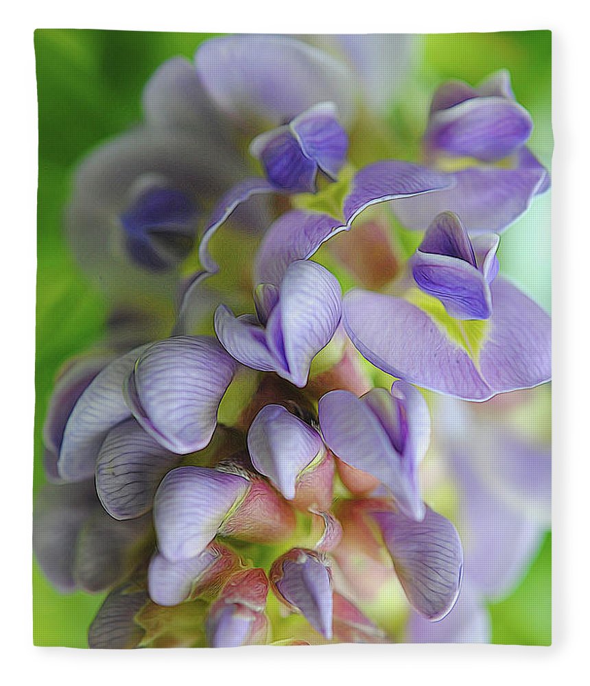 Flowers 2024 - Blanket