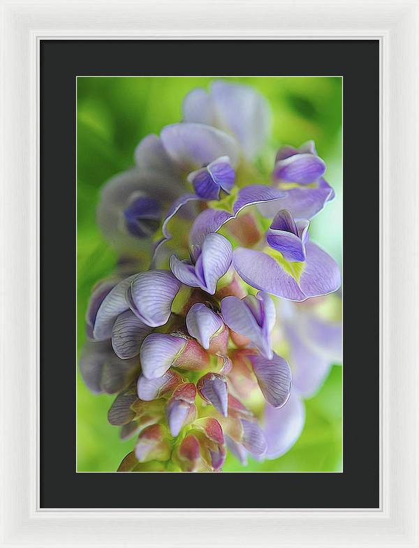 Flowers 2024 - Framed Print