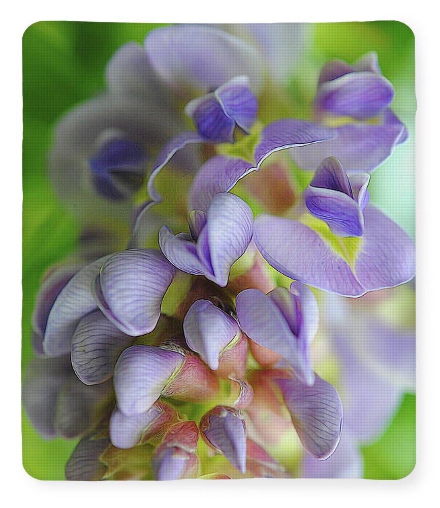 Flowers 2024 - Blanket