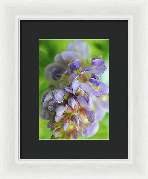 Flowers 2024 - Framed Print