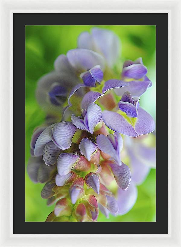 Flowers 2024 - Framed Print