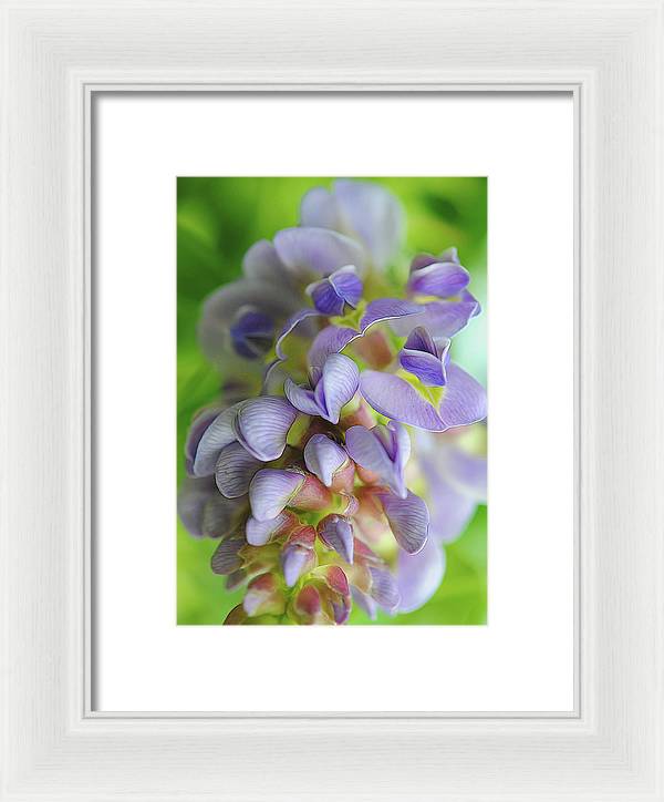 Flowers 2024 - Framed Print