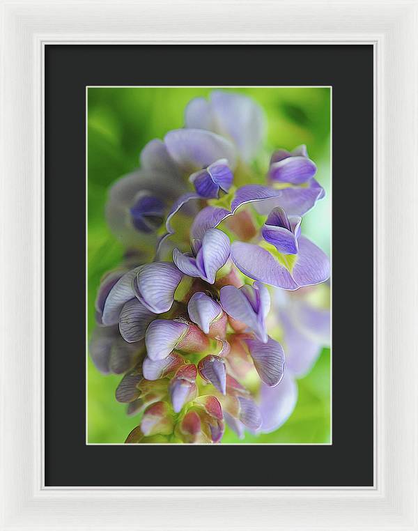 Flowers 2024 - Framed Print